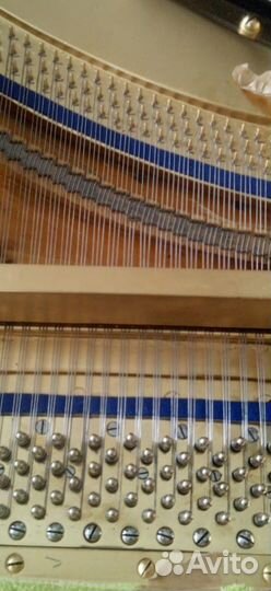 Настройка, реставрация, ремонт пианино,Москва и мо