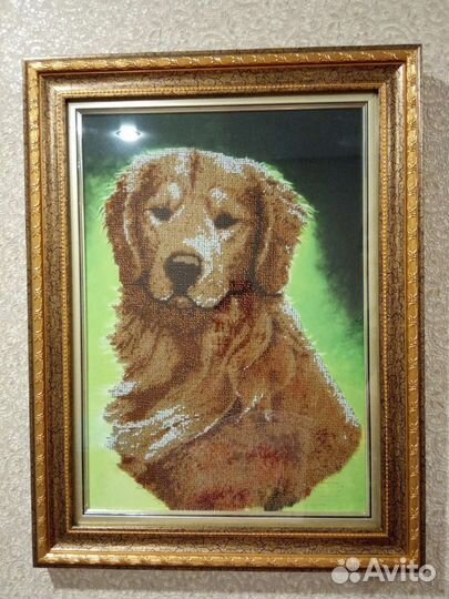 Картина вышитая бисером. Собака Лобрадор