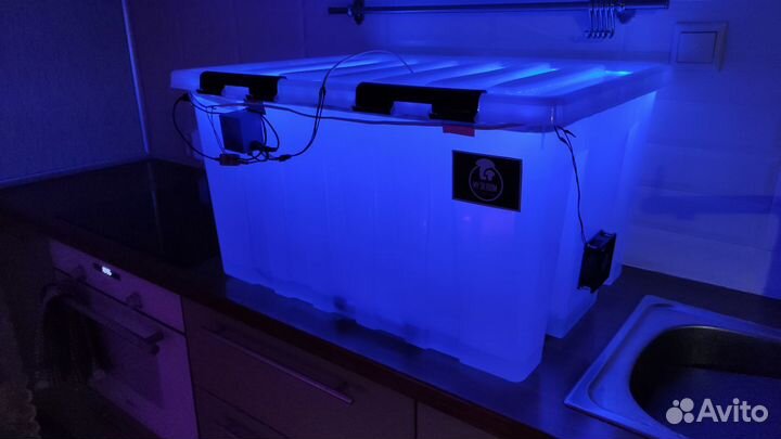 Парник инкубатор для грибов bigbox