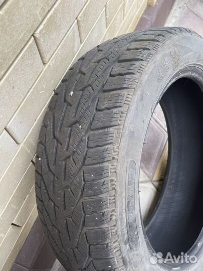 Tigar Winter 2.25/10 R16