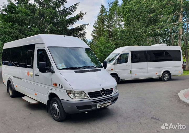 Аренда автобусов, пассажирские перевозки