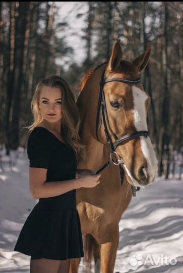 Донская кобыла для фотосессий