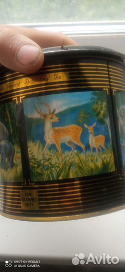 Банки для сыпучих продуктов железо