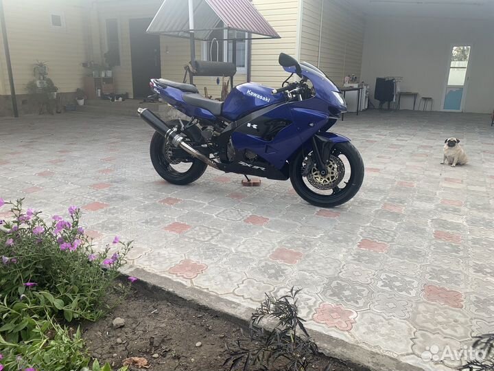 Спортивный мотоцикл Kawasaki ZX-9R