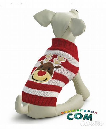 Одежда для собак