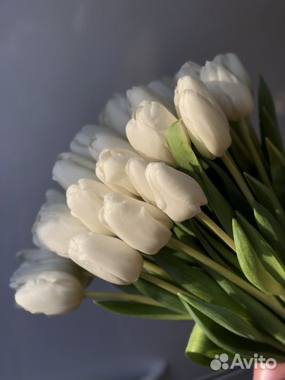 Тюльпаны к 8 марта букет