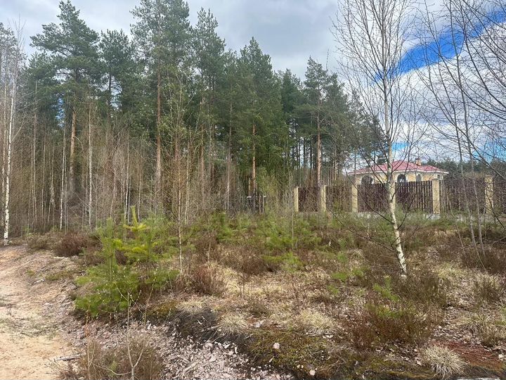 Участок 22 сот. (СНТ, ДНП)