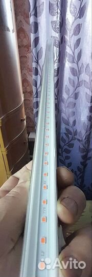 Лампа розовая