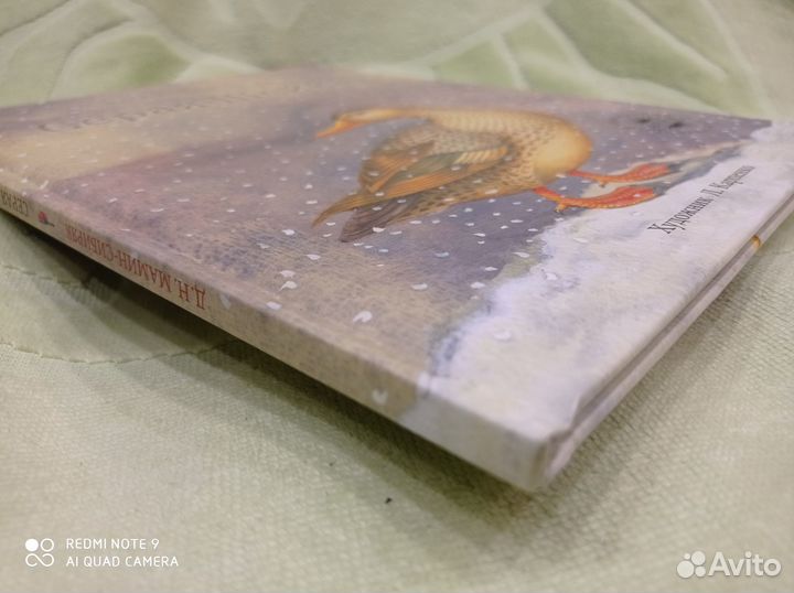 Серая шейка