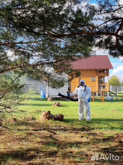 Уничтожение клещей комаров мух муравьев