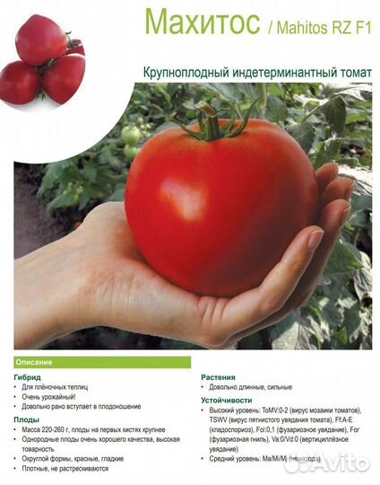 Томат Махитос Семена