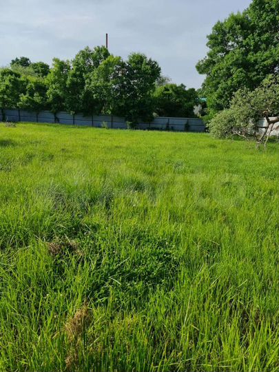 Участок 12 сот. (ИЖС)