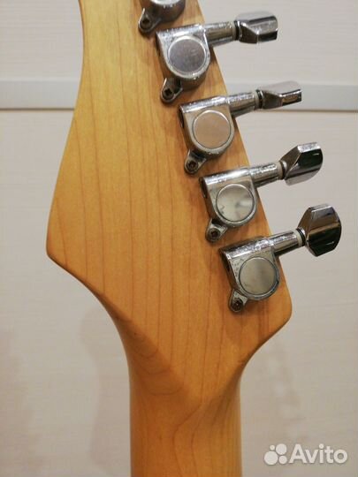 Bacchus Stratocaster