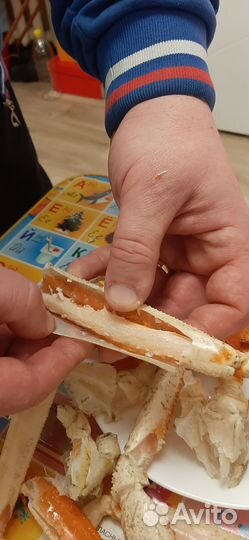 Рыба море продукты