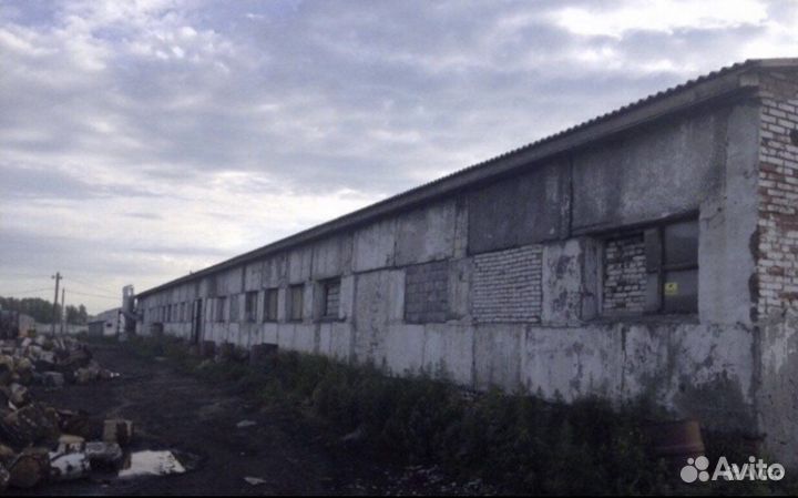 Древесный Уголь Производство