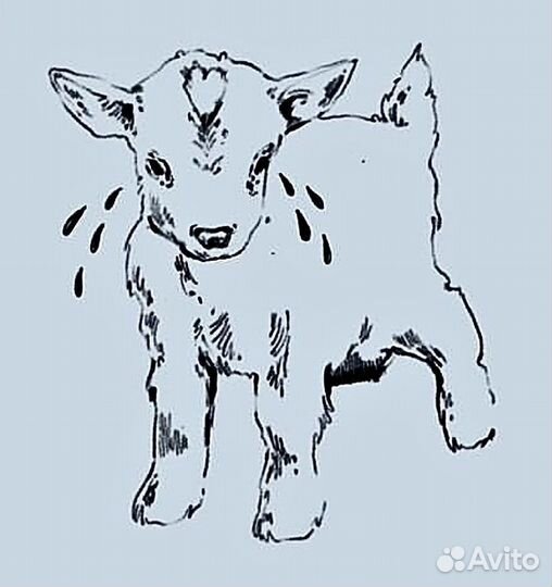 Модель на тату