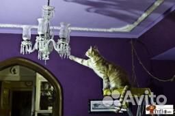 Домашний Электрик