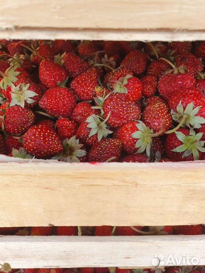 Клубника свежая ежевика малина виктория