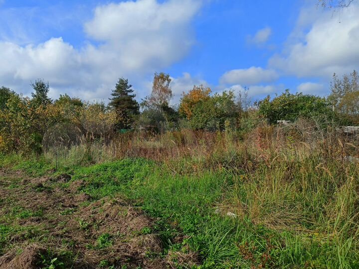 Участок 5,9 сот. (СНТ, ДНП)