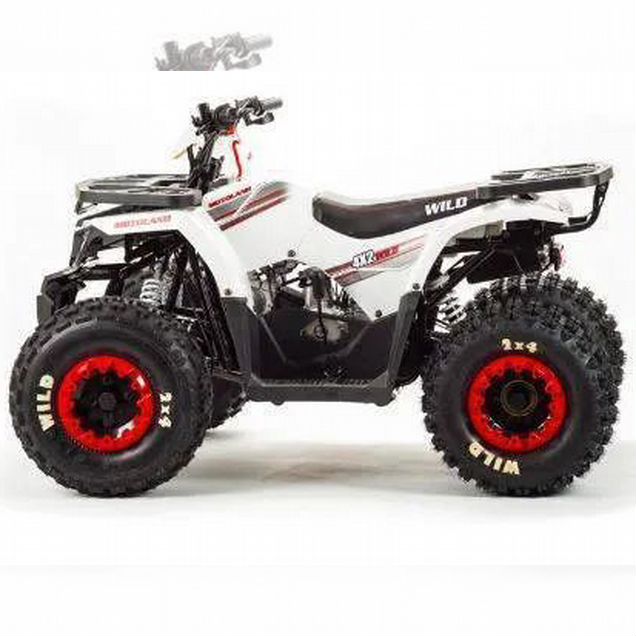 Motoland WILD 125, 2026