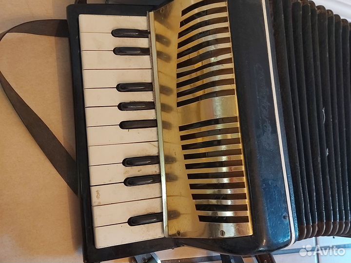 Аккордеон Беларусь