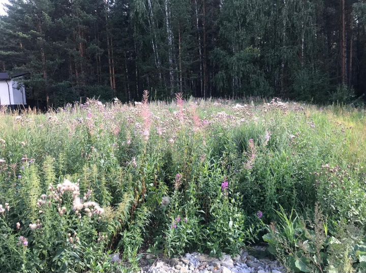 Участок 10 сот. (СНТ, ДНП)