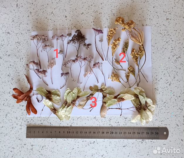 Природные материалы, набор для творчества