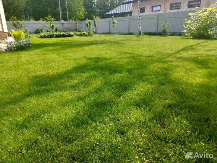 Посев газона под ключ. Озеленение участка