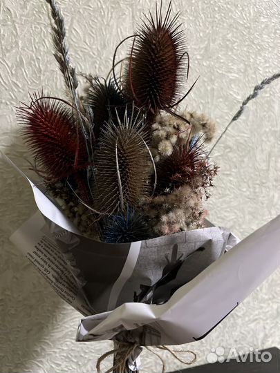 Букет из сухоцветов