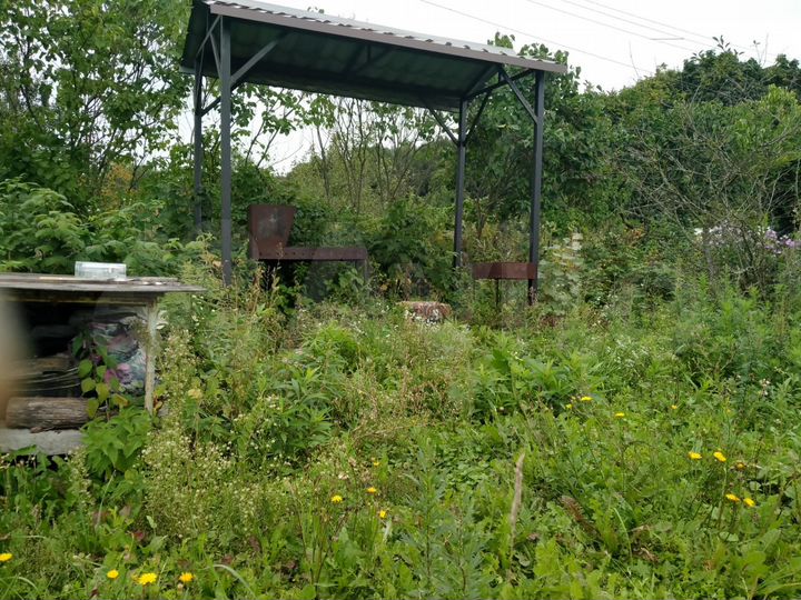 Дом 33,6 м² на участке 18 сот.