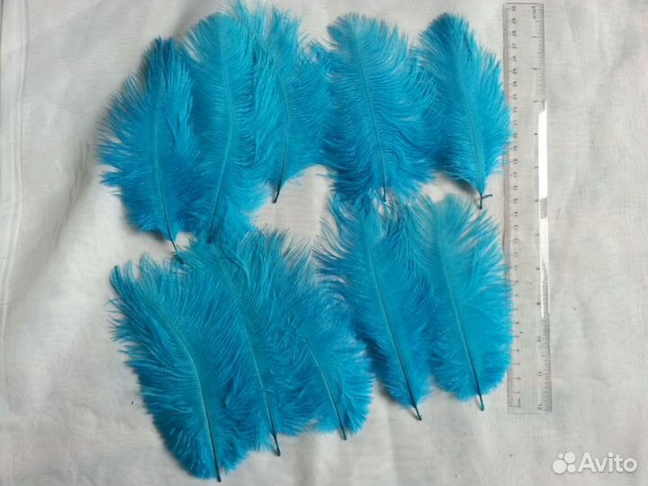 Перья страуса для творчества 14-18см, 29-55см