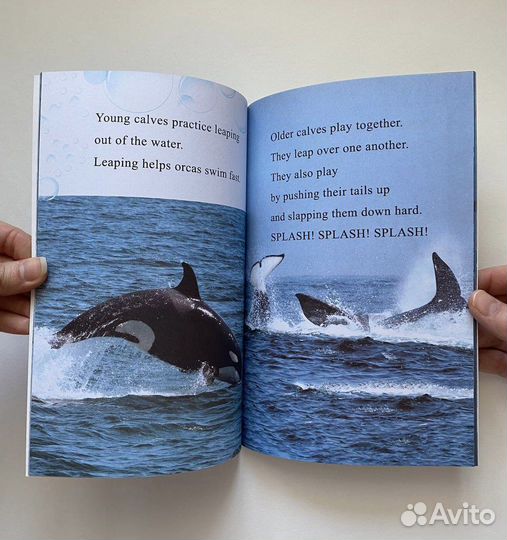 Детские книги на английском языке