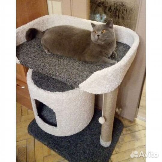 Игровой комплекс для крупных кошек с большим домом