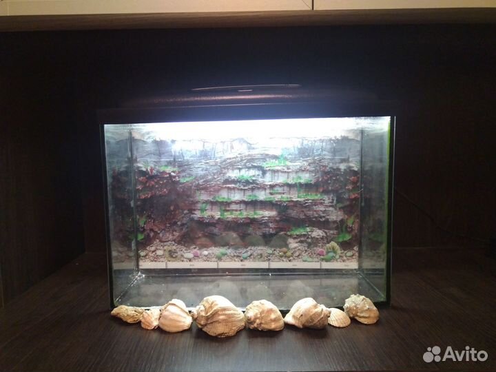 Аквариум