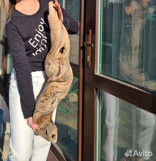 Дрифтвуд Ящерица большая коряга 67 см