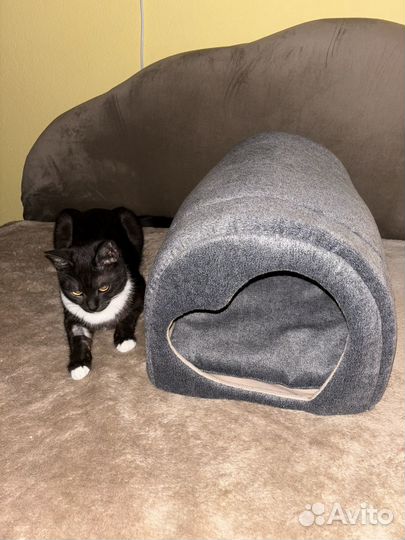 Лежанка для животных