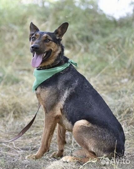 Добрые мальчишки Умка и Ричи ждут своих родителей