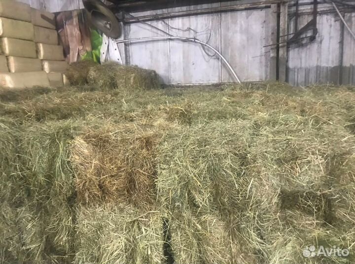 Сено в тюках