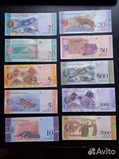 11 банкнот Венесуэлы с животными. Прессовые