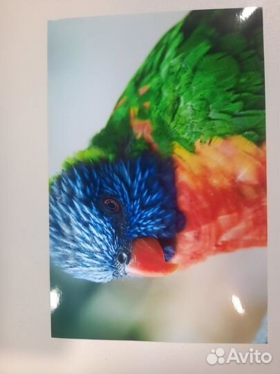 Печать фотографий