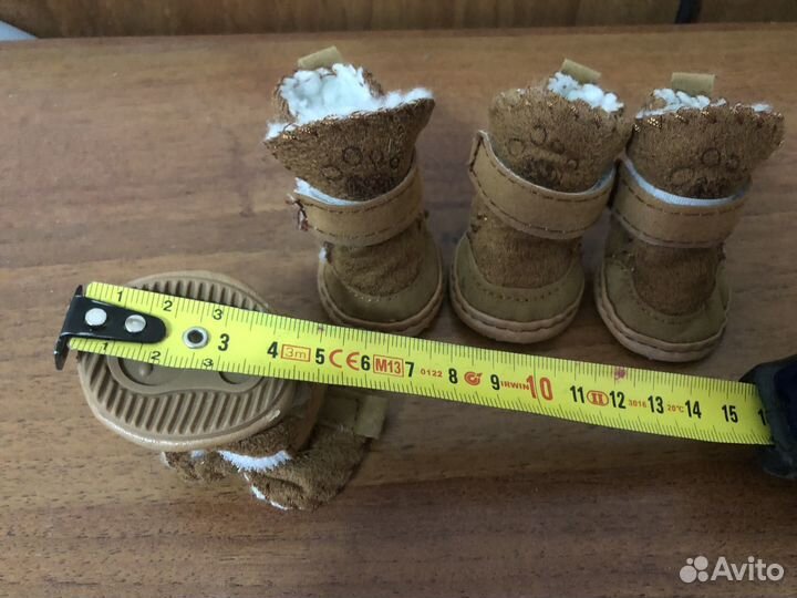 Обувь и шлейка для домашних животных