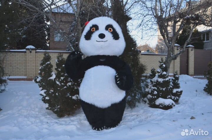 Поздравление от белого Мишки Снежка, Панды Уголька