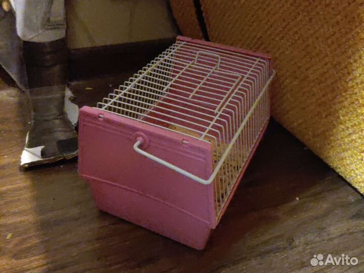 Продаю двух мышек со всей клеткой