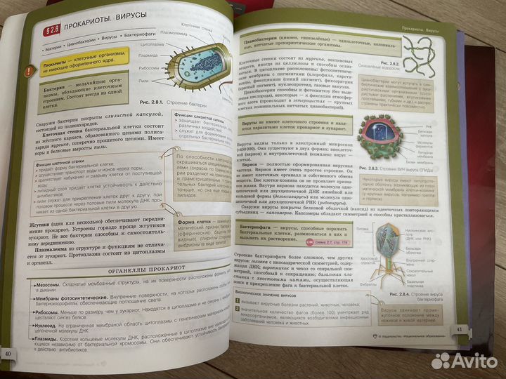 Пособие по биологии для подготовки к егэ рохлов