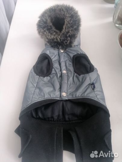 Одежда для собак