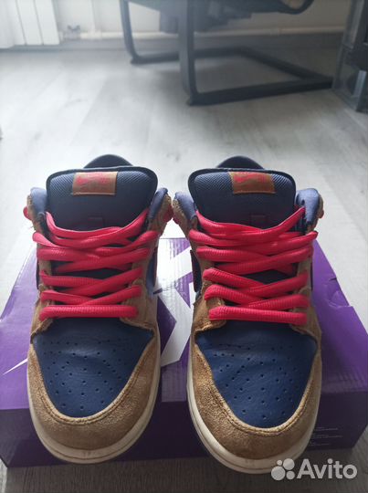 Nike dunk sb papa bear