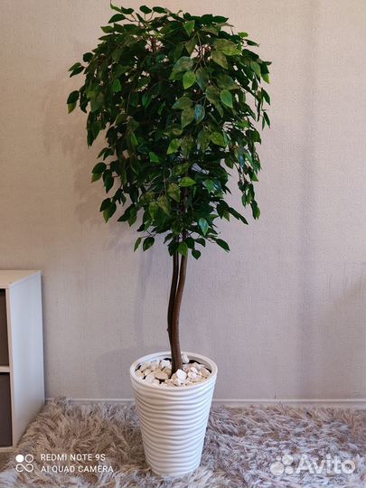 Фикус бенджамина искусственный