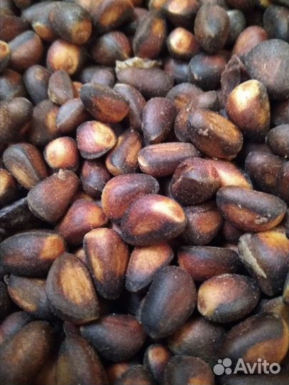 Кедровый орех