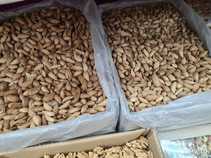 Фисташка Иран