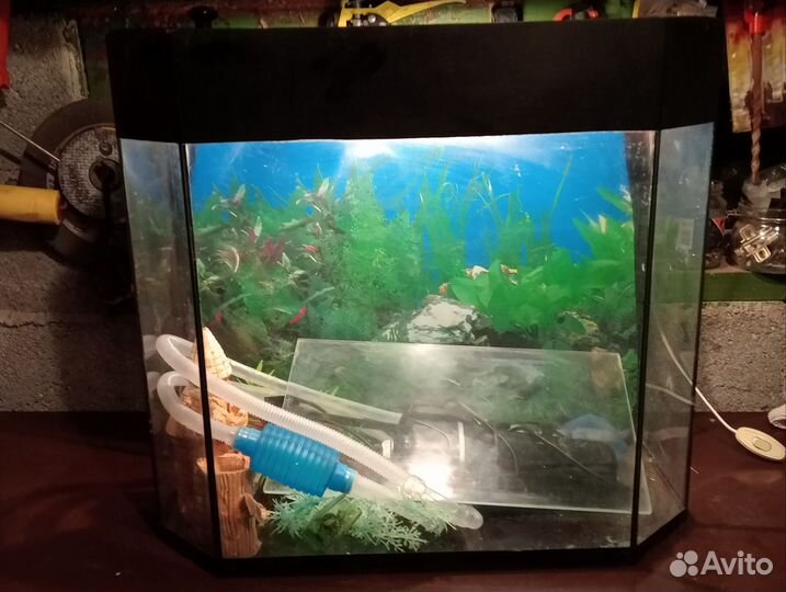 Аквариум
